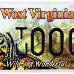 eastern box turtle license plate